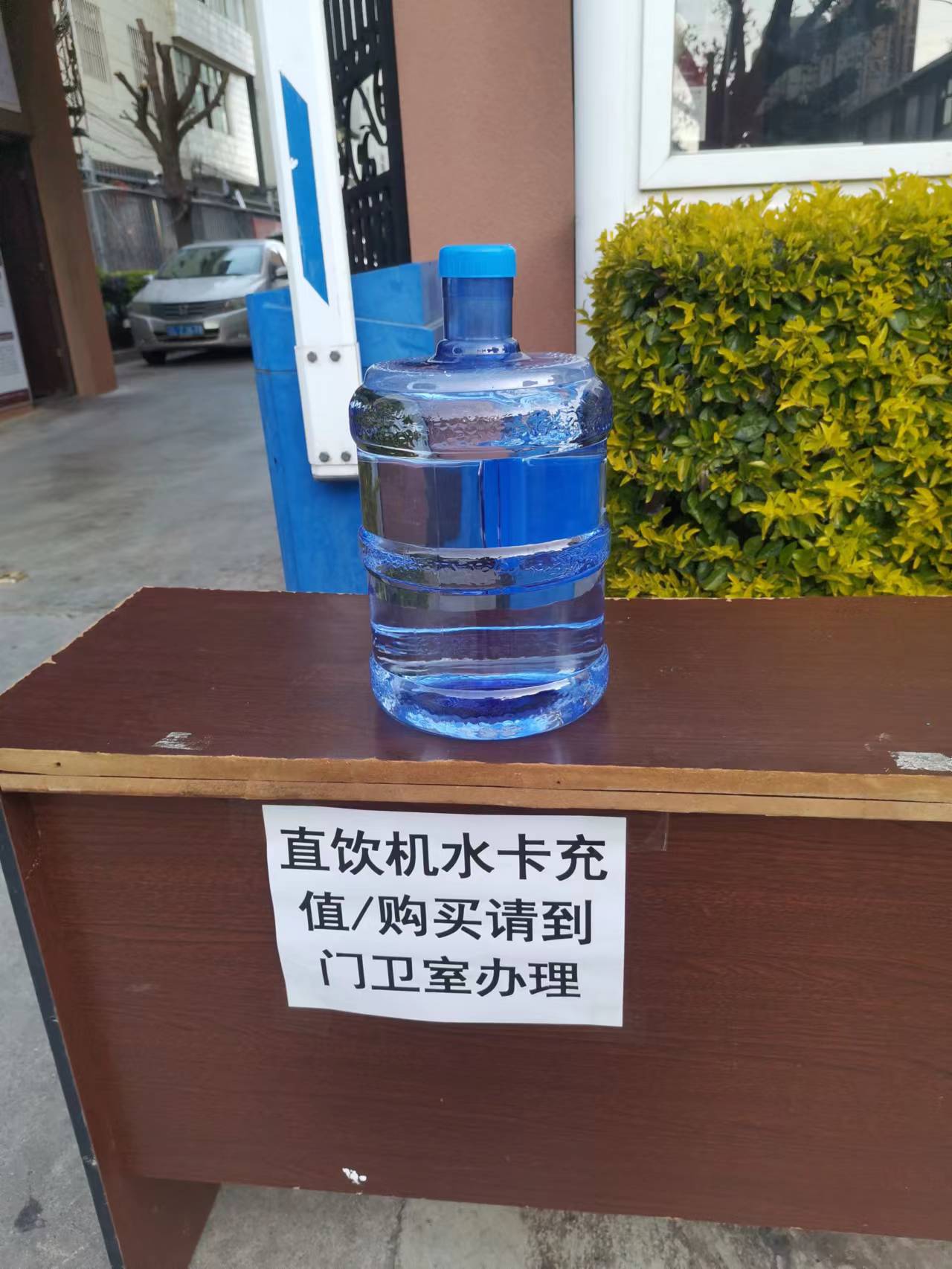 水1 .jpg